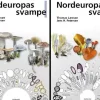 Nordeuropas Svampe af Thomas Læssøe & Jens H. Petersen | Bog i to bind