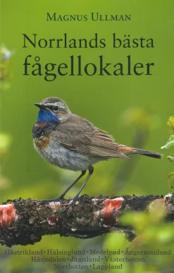 Norrlands bästa Fågellokaler | Rejseguide
