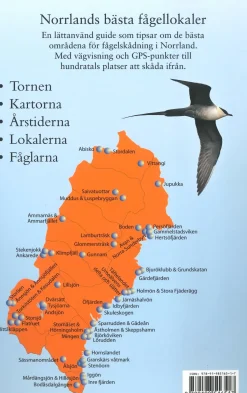 Norrlands bästa Fågellokaler | Rejseguide