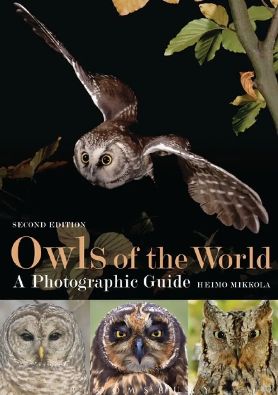 Owls of the World | Bog