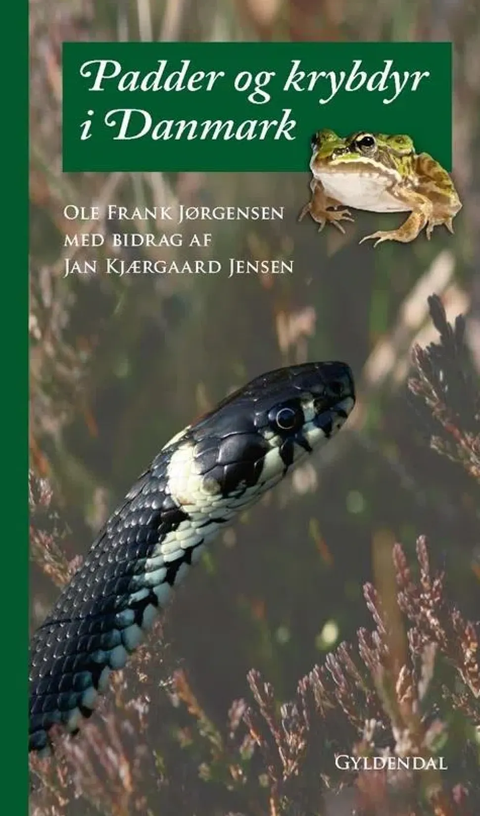 Padder og krybdyr i Danmark | Bog