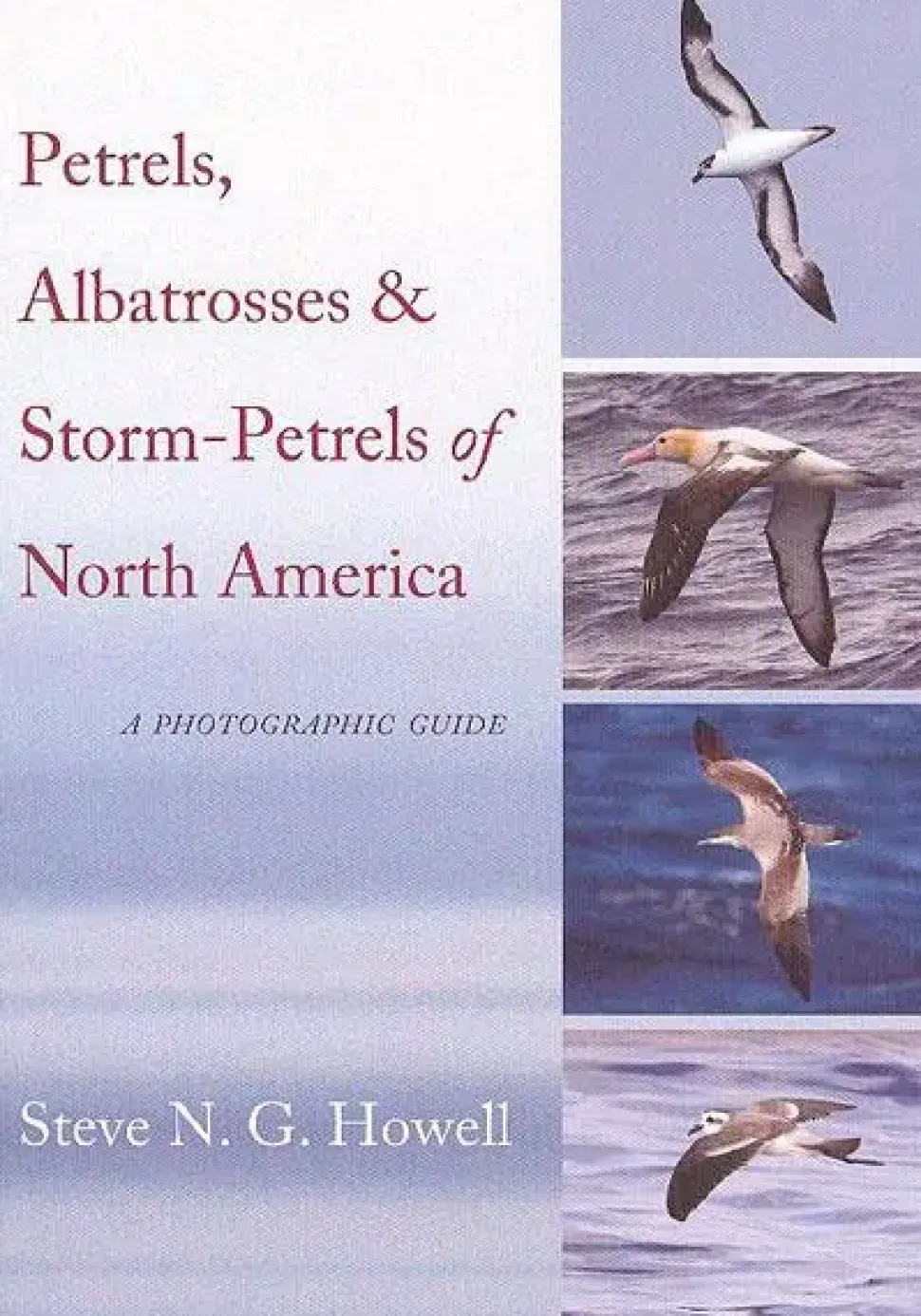 Petrels, Albatrosses & Storm-Petrels of North America | Bog