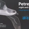 Petrels night and day | Bog