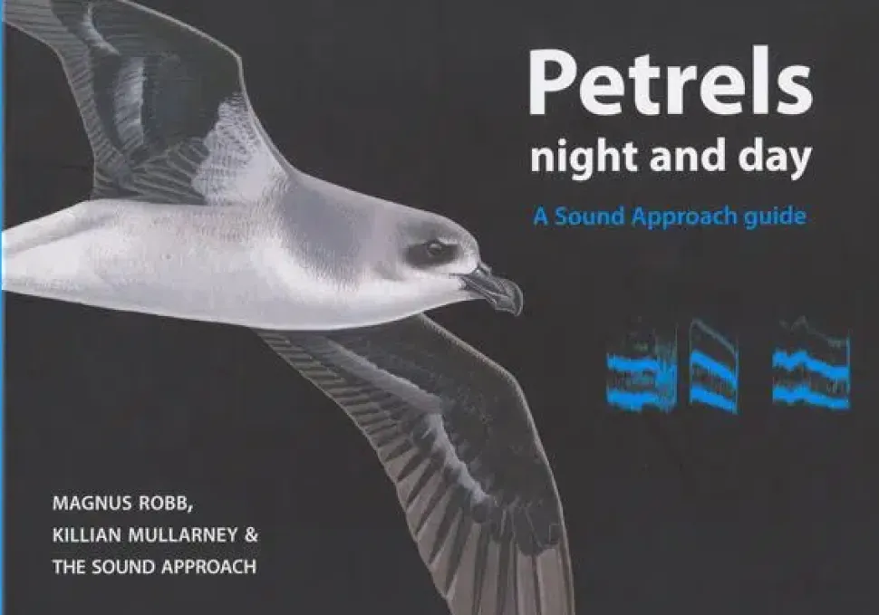 Petrels night and day | Bog