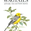 Pipits and wagtails | Bog