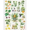 Plakat Orangeri A4