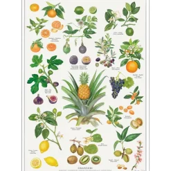 Plakat Orangeri A4