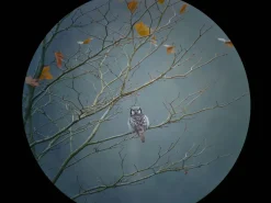 Samsung Galaxy digiscoping adapter – Kowa TSN – Otterbox