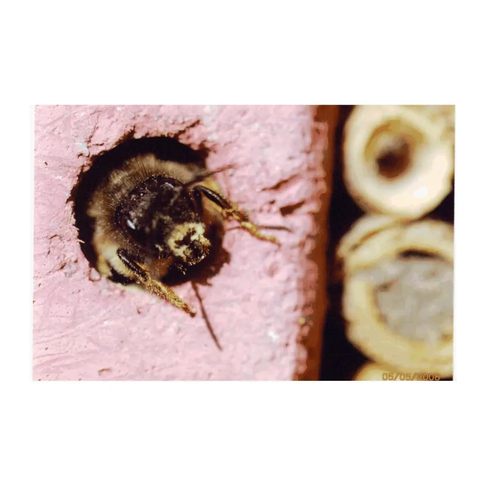 Schwegler Multi insekthotel