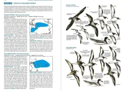 Seabirds: The new identification guide. Harrison af Perrow & Larsson | Bog