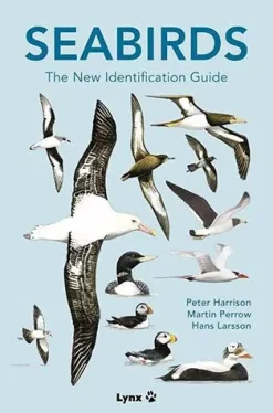 Seabirds: The new identification guide. Harrison af Perrow & Larsson | Bog