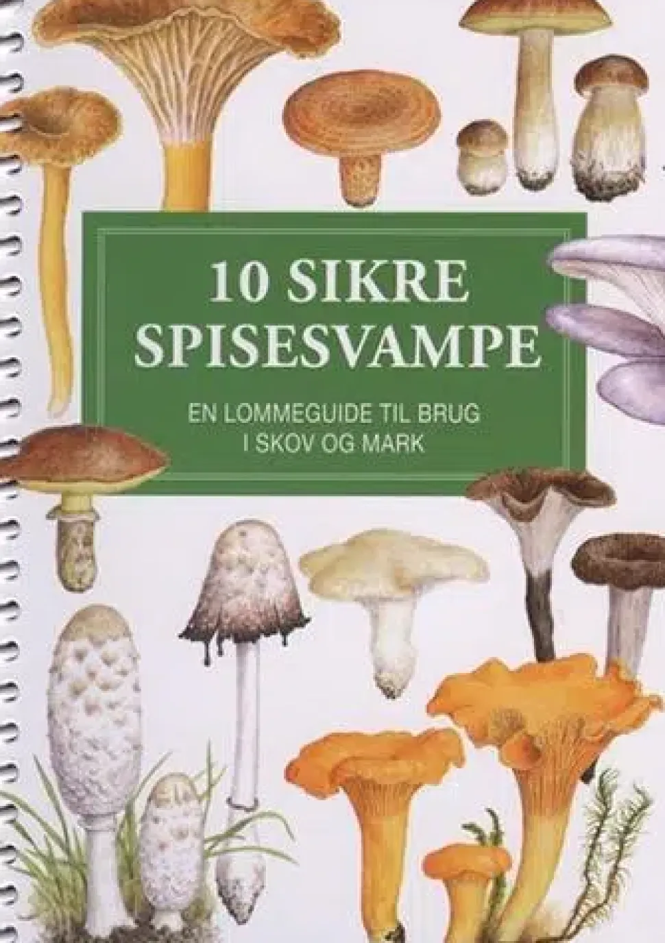 10 sikre spisesvampe | Bog