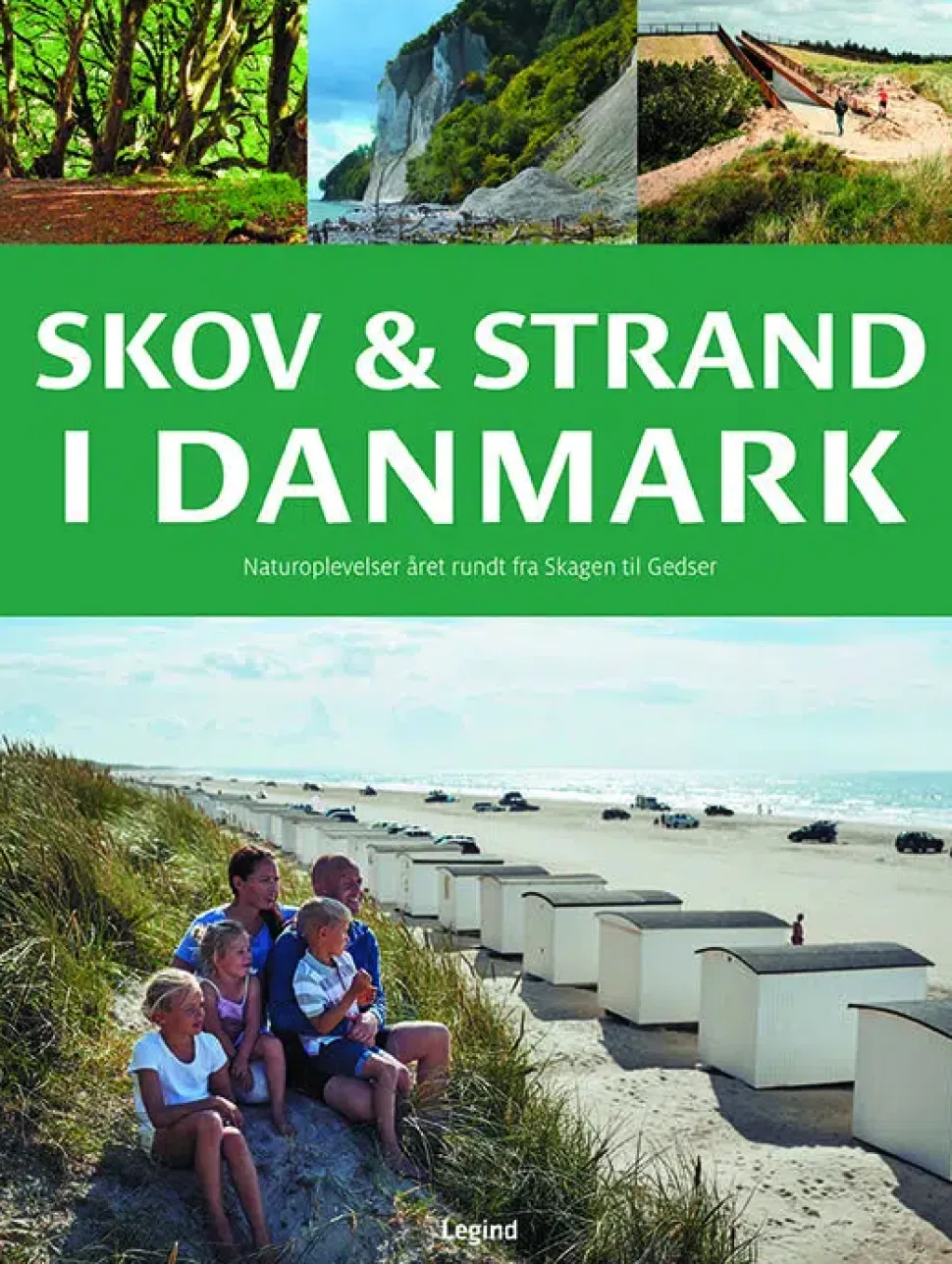 Skov og strand i Danmark: Naturoplevelser året rundt fra Skagen til Gedser | Bog