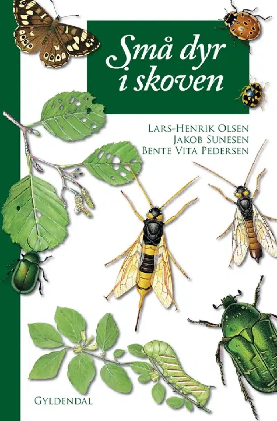 Små dyr i skoven | Bog