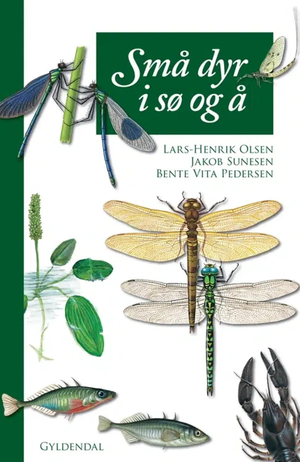 Små dyr i sø og å | Bog