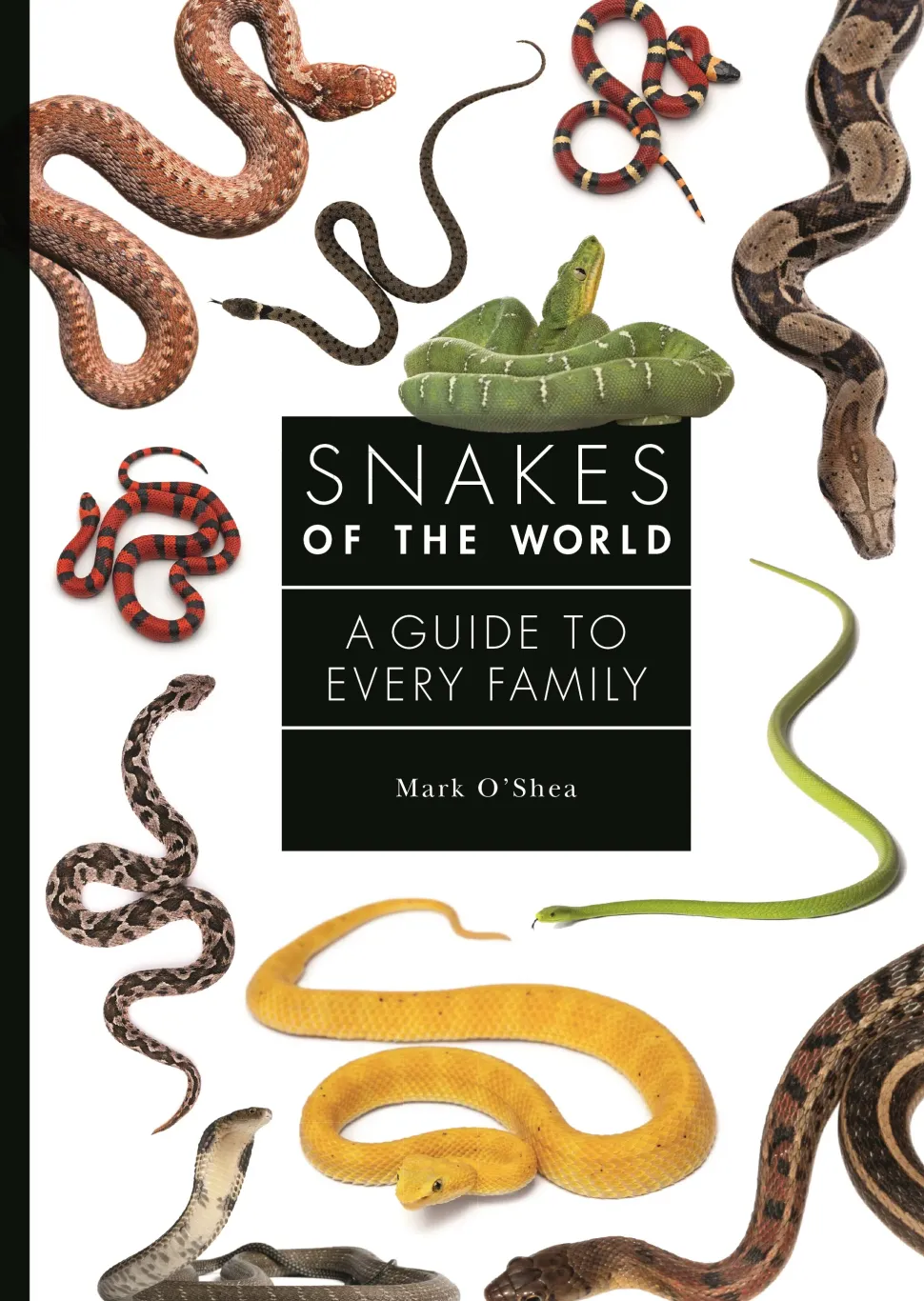 Snakes of the World: A Guide to Every Family | Bog