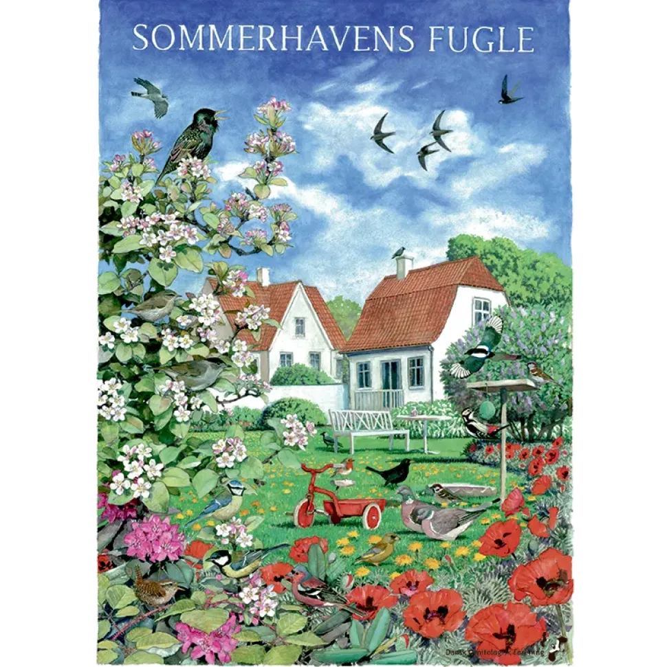 Sommerhavens fugle plakat