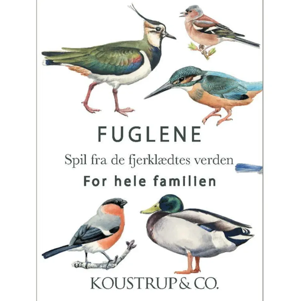 Spillekort Fuglenes verden