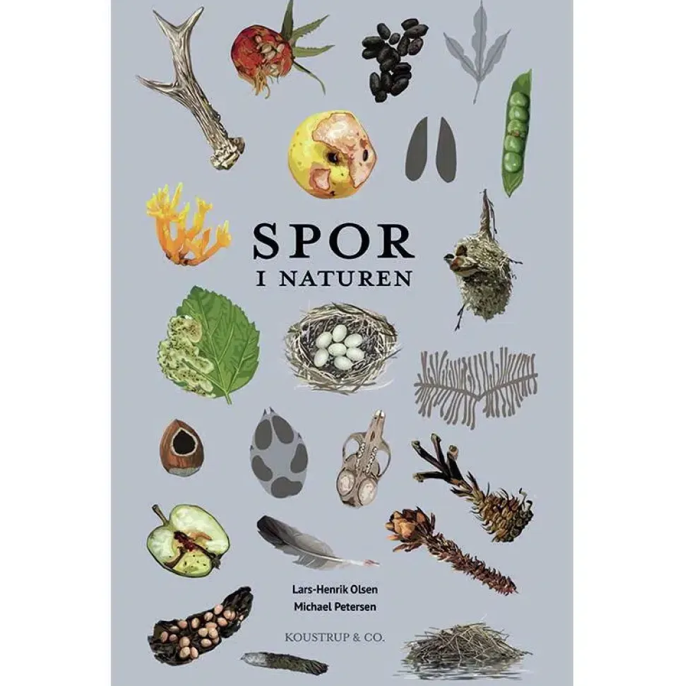 Spor i naturen