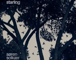 Starling af Søren Solkær | Bog