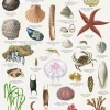 Stranden Plakat A4