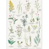 Strandplanter Plakat A2