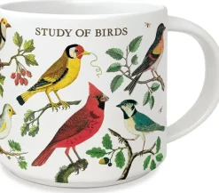Study of birds krus