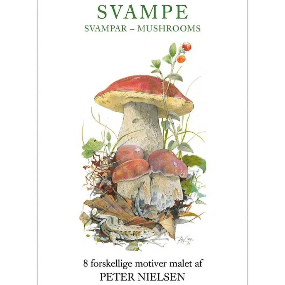 Svampe af Peter Nielsen 8 stk postkort