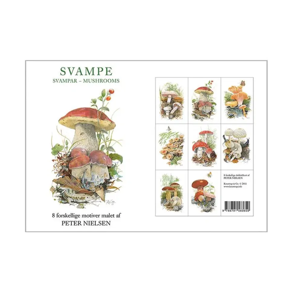 Svampe af Peter Nielsen 8 stk postkort