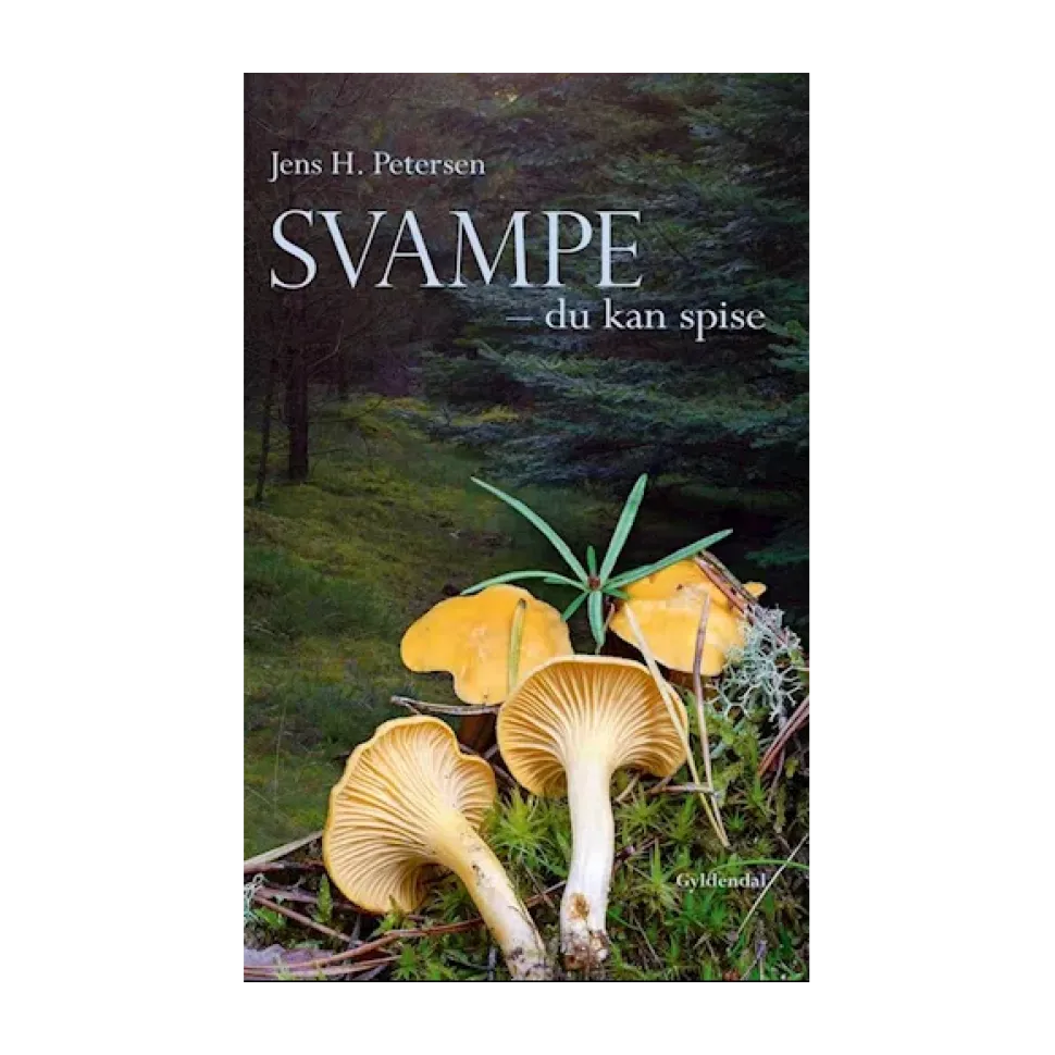 Svampe du kan spise | Bog