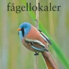 Svealands bästa fågellokaler | Rejseguide