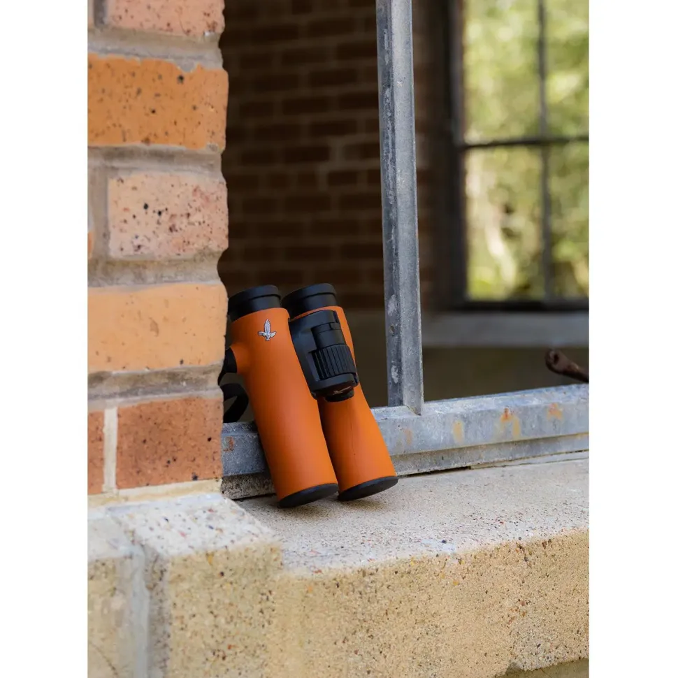 Swarovski NL Pure 8×32 orange | kompakt kikkert