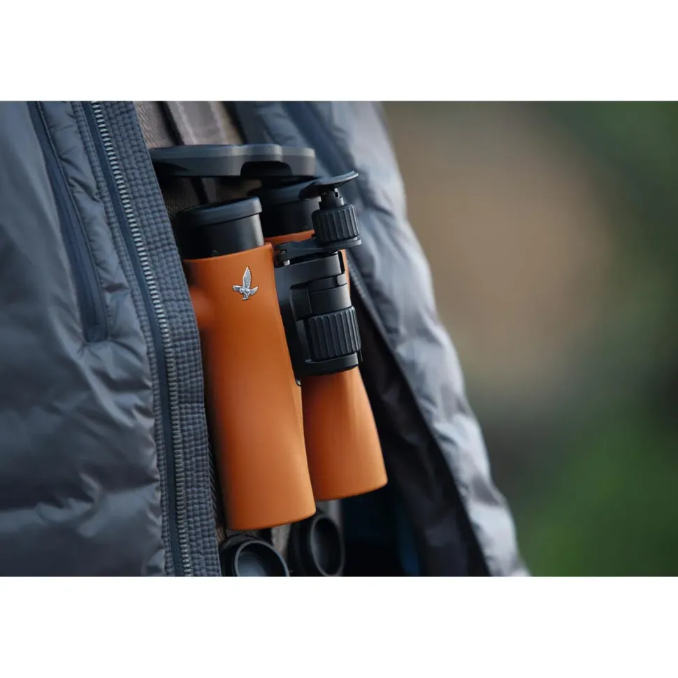 Swarovski NL Pure 10×32 orange | kompakt kikkert