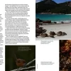 The 100 Best Birdwatching Sites in Australia | Rejseguide