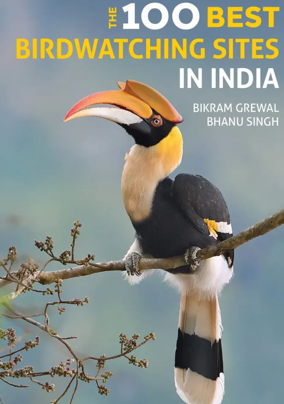 The 100 Best Birdwatching Sites in India | Rejseguide