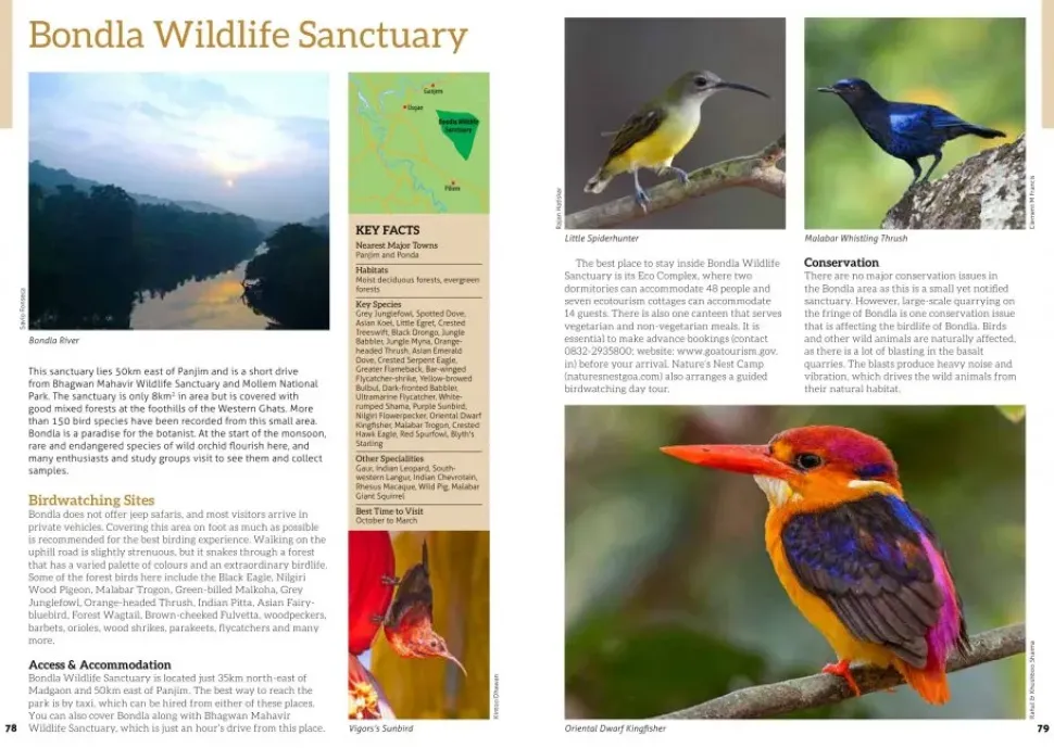 The 100 Best Birdwatching Sites in India | Rejseguide