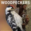 The Pied Woodpeckers | Bog