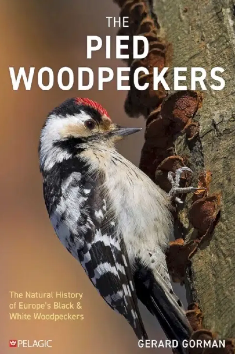 The Pied Woodpeckers | Bog