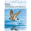 The Storm-petrels