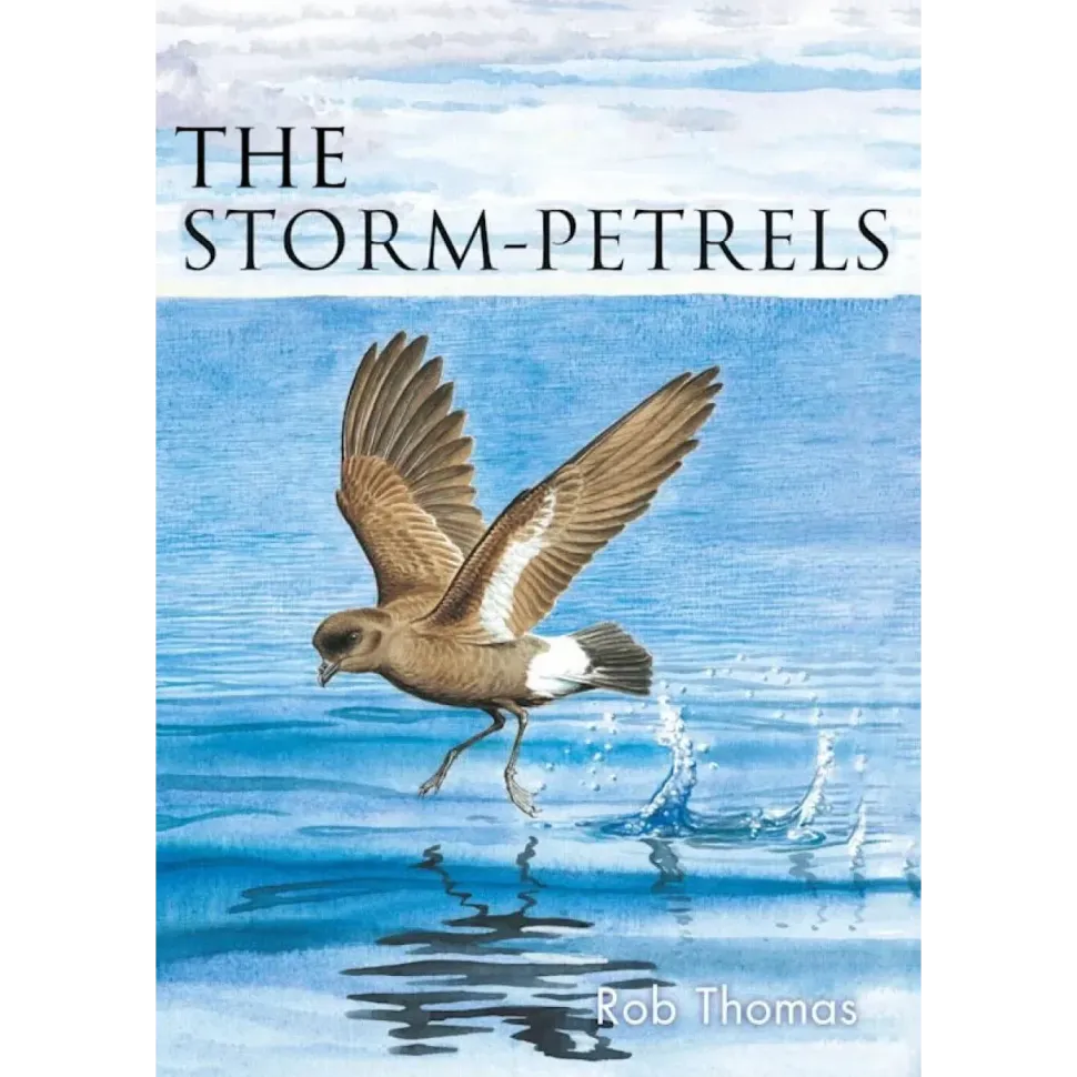 The Storm-petrels