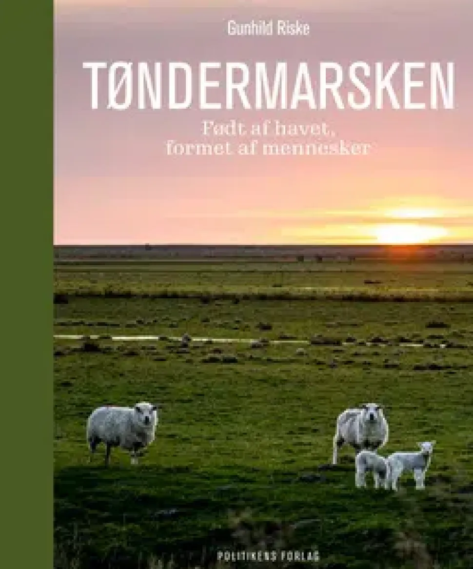 Tøndermarsken | Bog