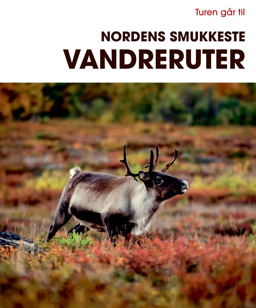 Turen går til: Nordens Smukkeste Vandreruter | Rejseguide