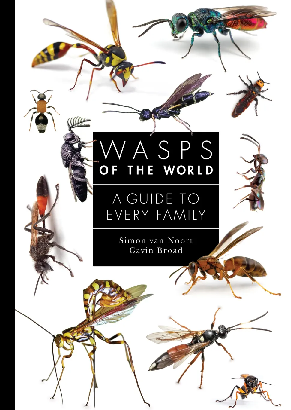 Wasps of the World: A Guide to Every Family | Bog