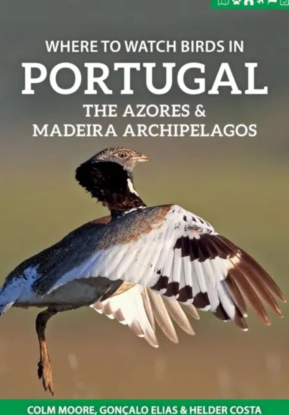 Where to watch birds in Portugal, the Azores and Madeira archipelagos | Rejseguide