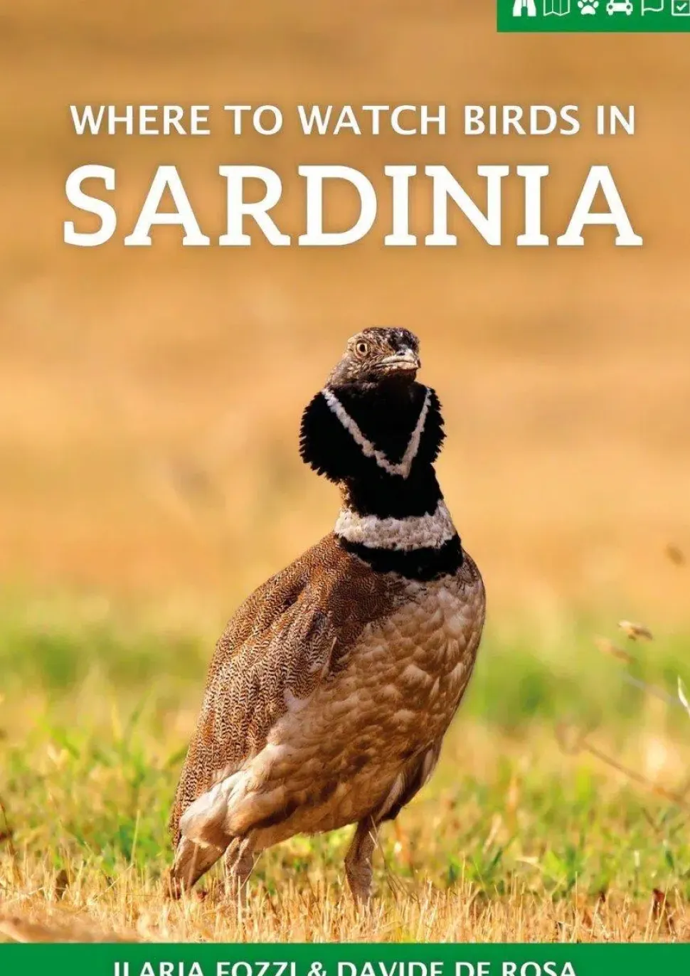 Where to watch birds in Sardinia | Rejseguide
