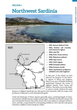 Where to watch birds in Sardinia | Rejseguide