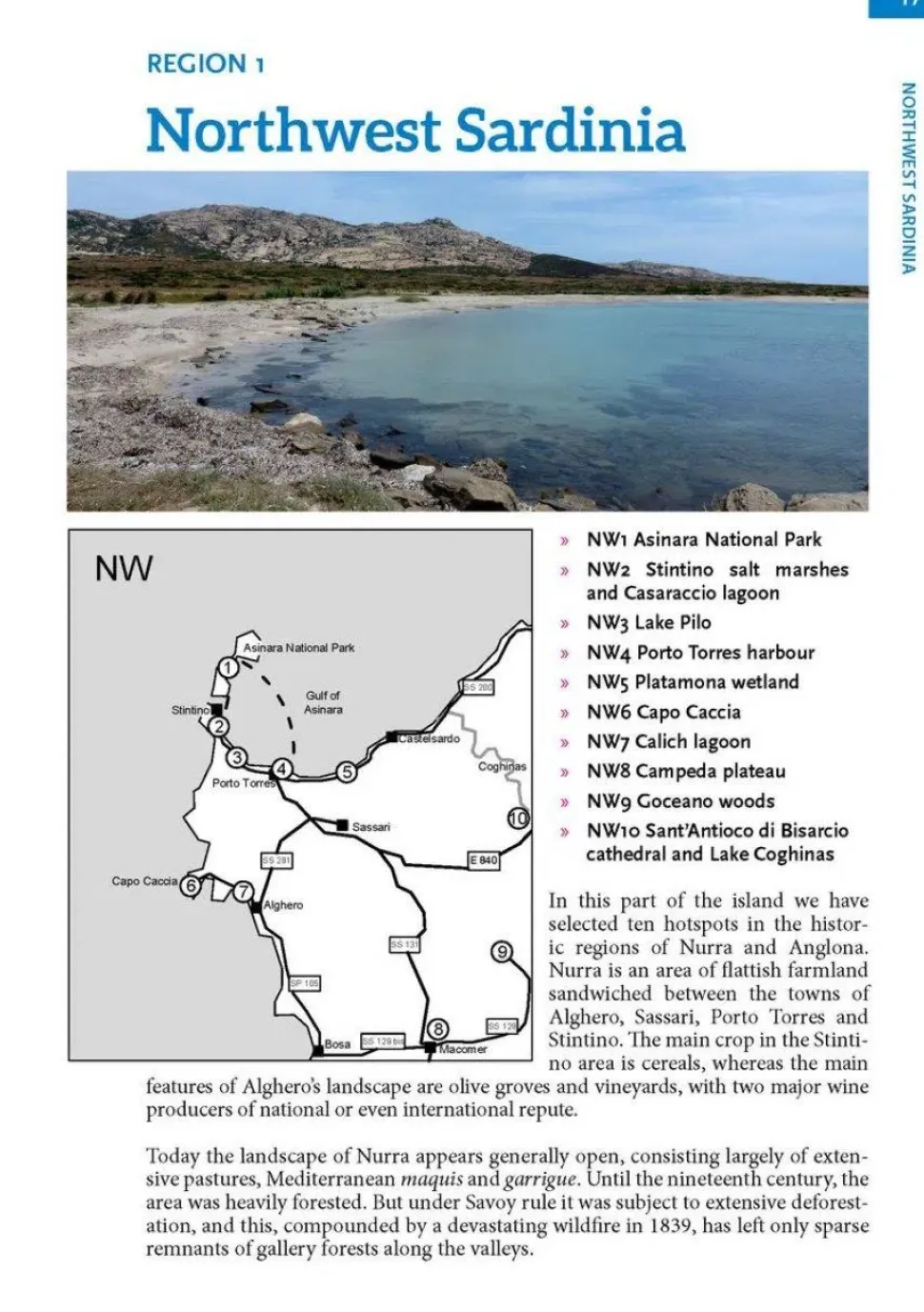 Where to watch birds in Sardinia | Rejseguide