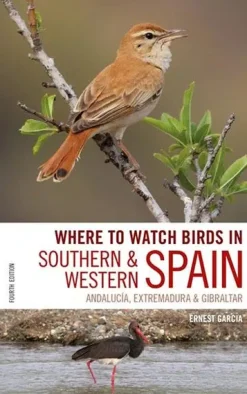 Where to Watch Birds in Southern & Western Spain | Bog