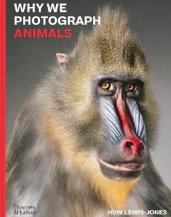 Why we Photograph Animals | Bog