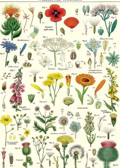 Wildflowers plakat